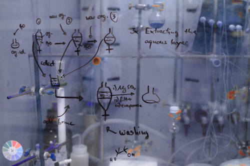 Biomolecular synthesis applications