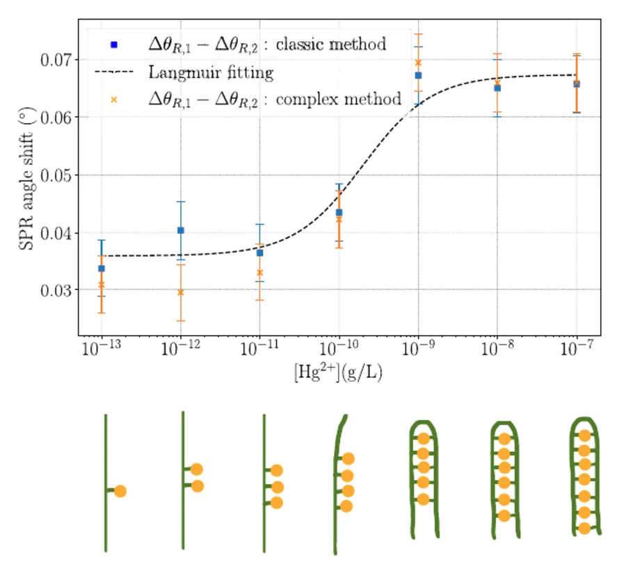 SPR angle shift versus mercuric ion concentration, fitted with a Langmuir isotherm, showing detection down to the ng/L range