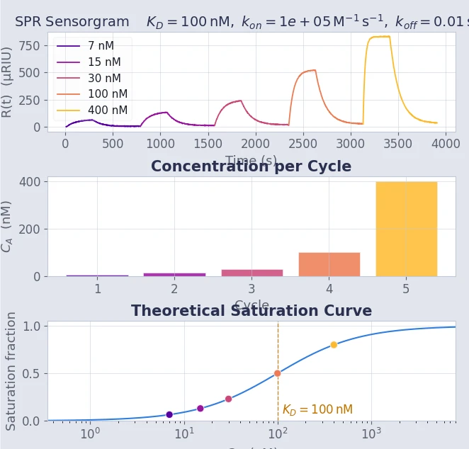 Sensorgram generator interface