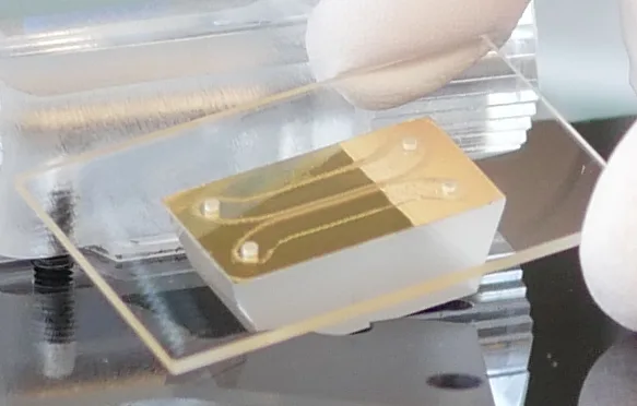 SPR gold chip and microfluidic cell closeup